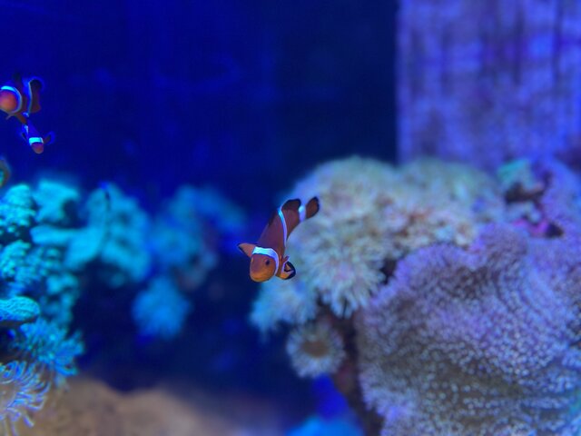 Photo by 科学技術学園高等学校の生徒 (277415)