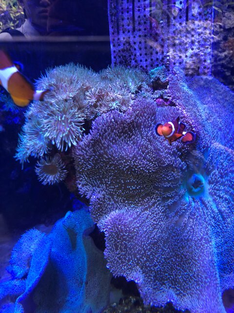 Photo by 科学技術学園高等学校の生徒 (277429)