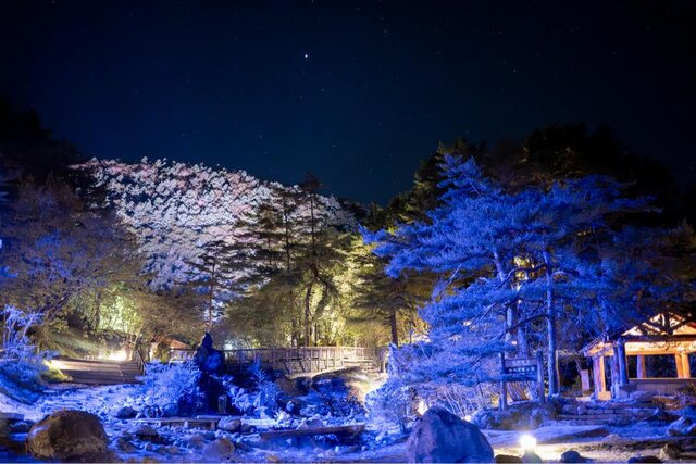photo by PIXTA (278838)