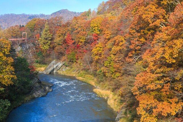 photo by PIXTA (280488)