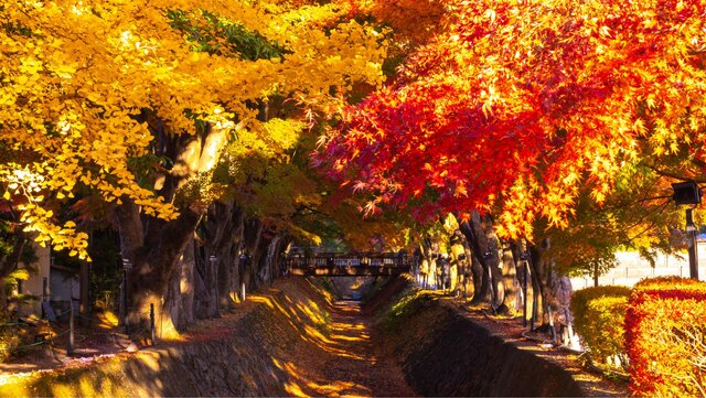 photo by PIXTA (281263)