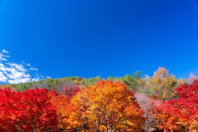 photo by PIXTA (281672)