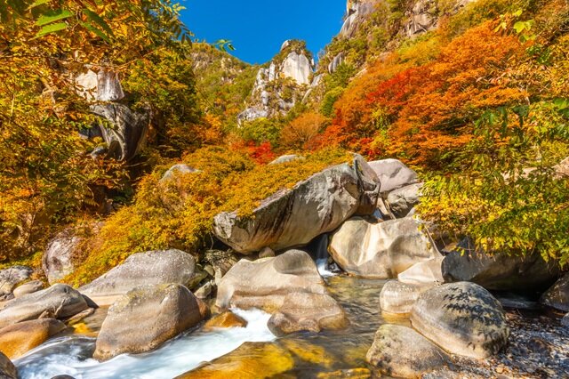 photo by PIXTA (281680)