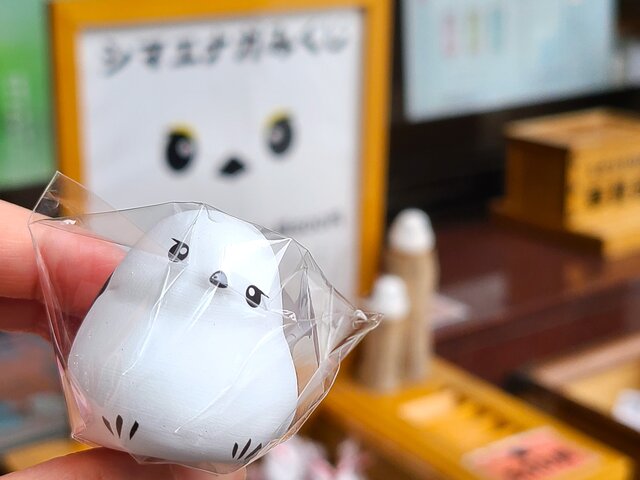 シマエナガみくじ