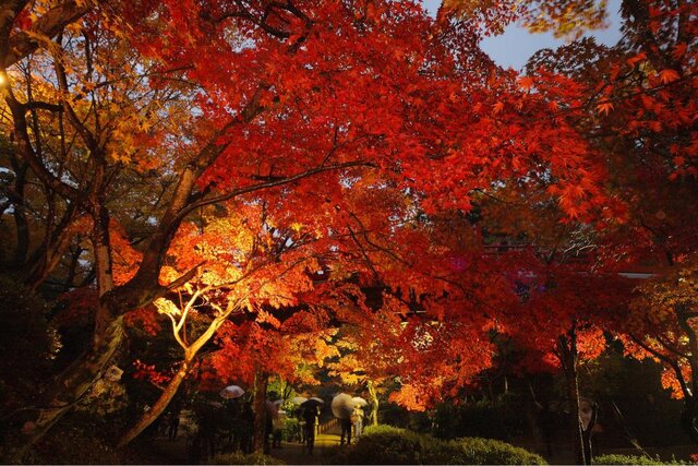 photo by PIXTA (281882)