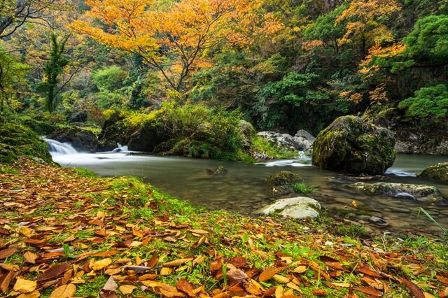 photo by PIXTA (282260)