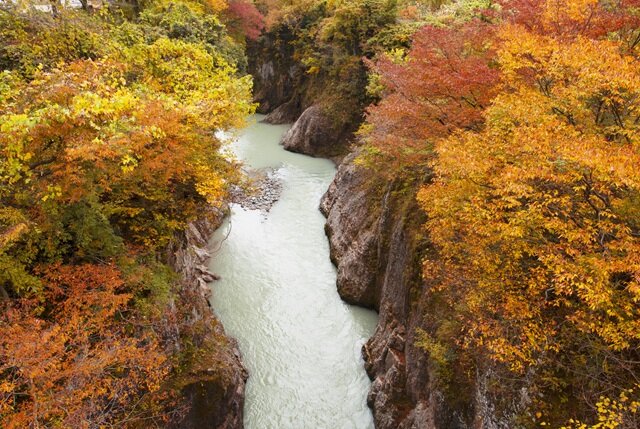 photo by PIXTA (282261)