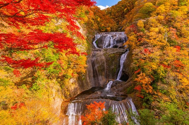 photo by PIXTA (282545)