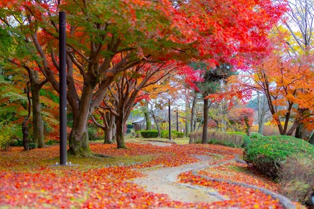 photo by PIXTA (282546)