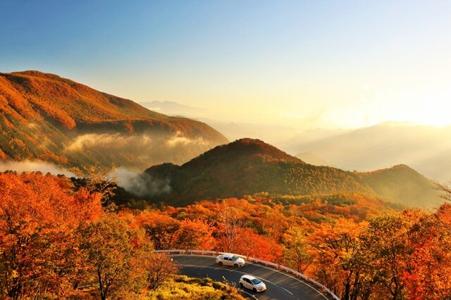 photo by PIXTA (282548)