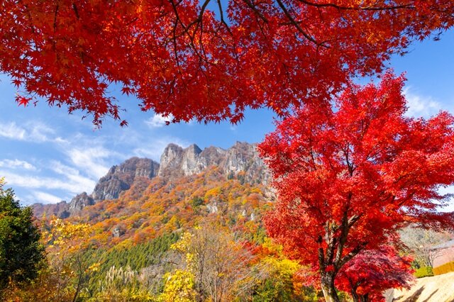 photo by PIXTA (282553)