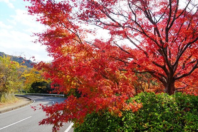 photo by PIXTA (282556)