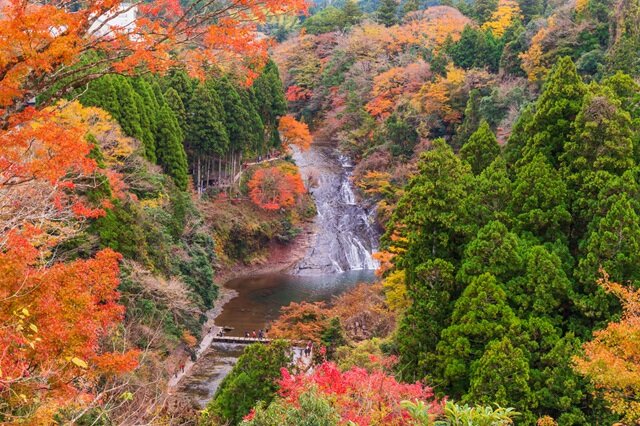 photo by PIXTA (282557)