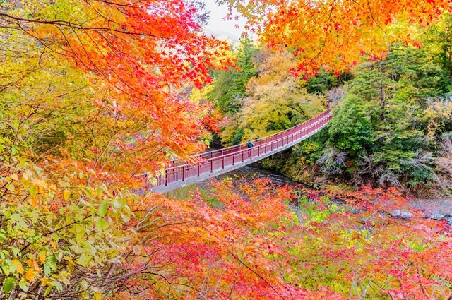 photo by PIXTA (282558)