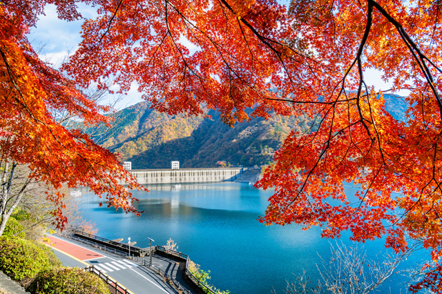 photo by PIXTA (282559)
