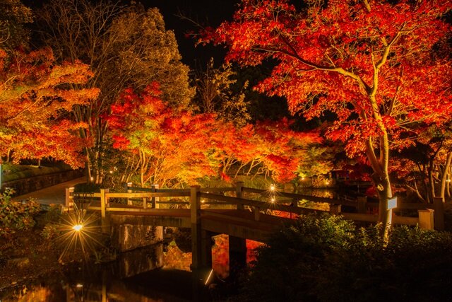 Photo by nta (282646)