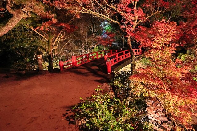 Photo by PIXTA (282784)