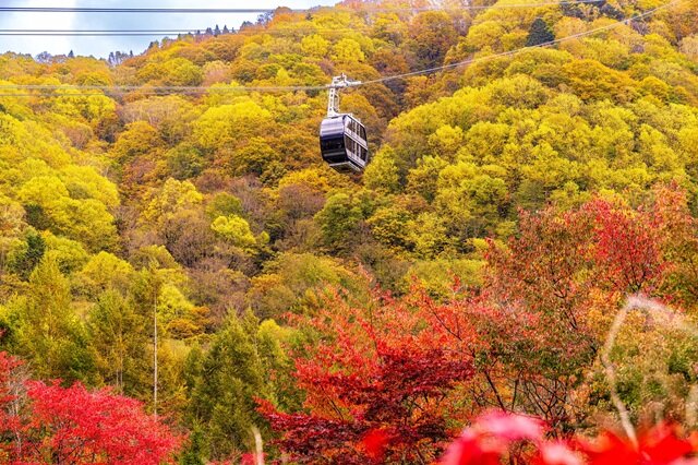 photo by PIXTA (283004)