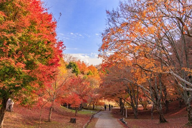 photo by PIXTA (283027)
