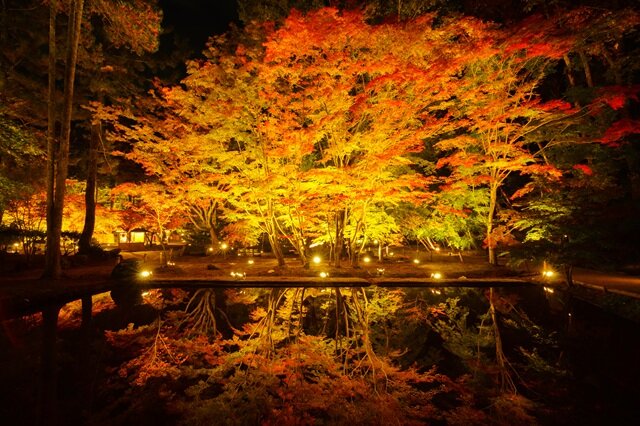 photo by PIXTA (283046)