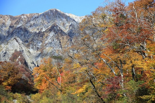 photo by PIXTA (283323)