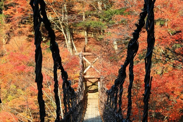 photo by PIXTA (283327)