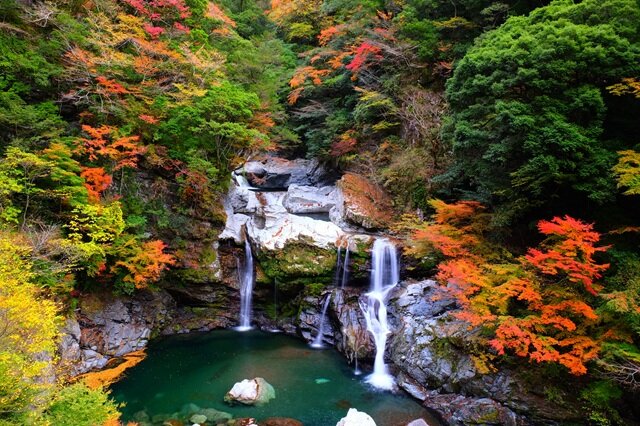 photo by PIXTA (283328)