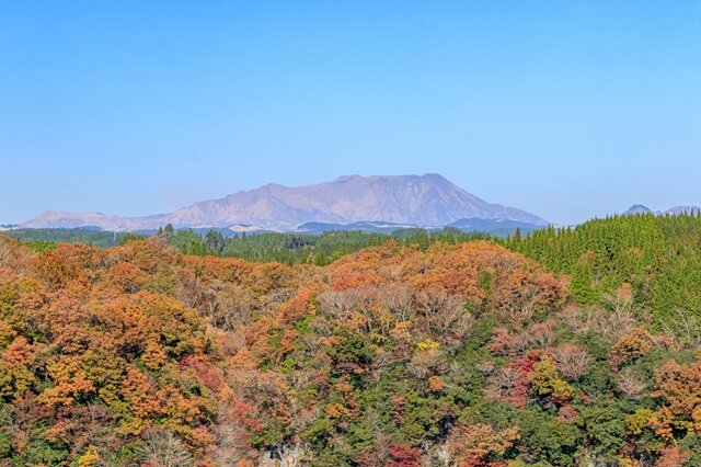 photo by PIXTA (283902)