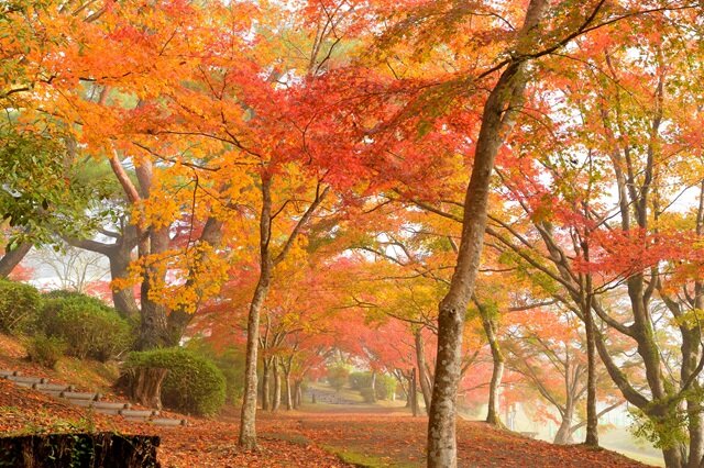 photo by PIXTA (283905)