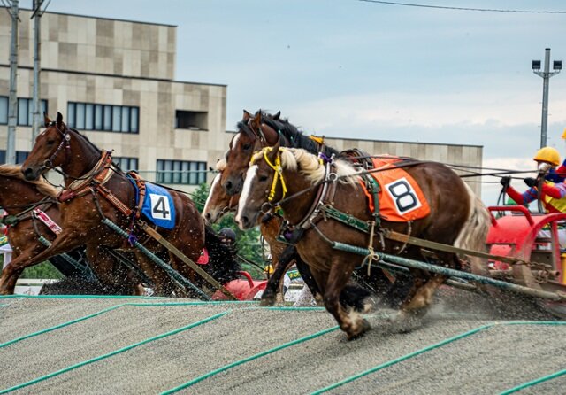 ばんえい競馬