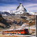 スイスの最新＆定番の観光情報