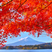 富士山ビューの絶景露天風呂も！紅葉見るなら河口湖がおすすめ♪