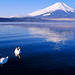 富士山～にっぽんの世界遺産登録へ