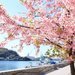 Instagramはこちら-🗾旅人かおる🗾 (@tabibitokaoru)