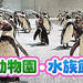 人気の動物園・水族館を訪ねる！