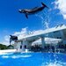 イルカや珍しい動物も！デートや家族旅行におすすめの日本全国の人気水族館