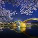 中国四国で桜を見るならここ！おすすめお花見スポット7選