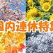連休にピッタリ!国内旅行プランのご案内