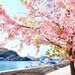 Instagramはこちら-🗾旅人かおる🗾 (@tabibitokaoru)