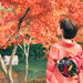 今年の紅葉はどこへ見に行く？日本全国のおすすめ紅葉スポット【まとめ】