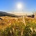 自然が織りなす癒しの絶景!夏の終わりのおすすめスポット10選