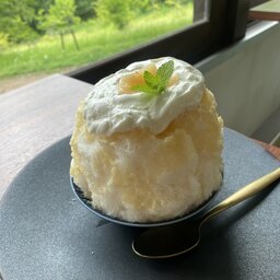ふるさと応援隊 ふるさと応援隊