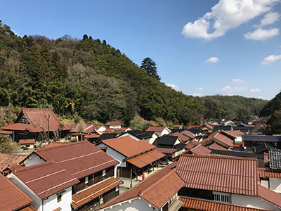 山陰コース（上り）１泊２日～銀で栄えた天領の町並みと因幡の芸術に触れる旅～