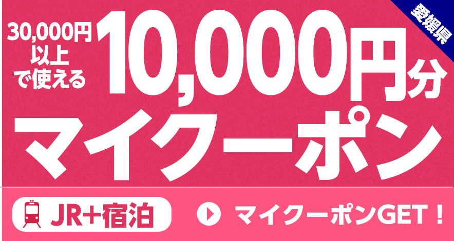 10,000円引きマイクーポンGET！