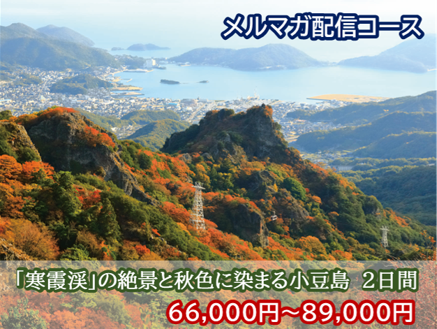 メルマガ配信コース