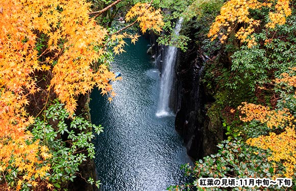 秋の紅葉狩り 紅葉旅行特集21 国内旅行 国内ツアーは日本旅行