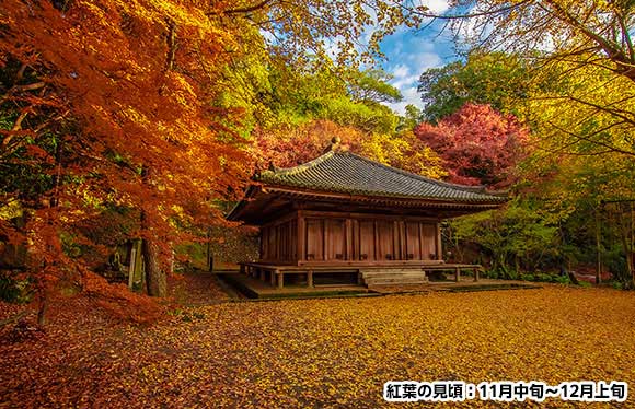 秋の紅葉狩り 紅葉旅行特集22 国内旅行 国内ツアーは日本旅行