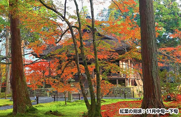 鮮やかな紅葉が織り成す洛北・大原の名刹と比叡山の絶景　３日間