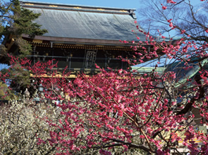＜おとなびメルマガ掲載コース＞京の冬の旅特別公開　京に残る戦国の英傑ゆかりの寺院と春を告げる梅の名所　北野天満宮　2日間