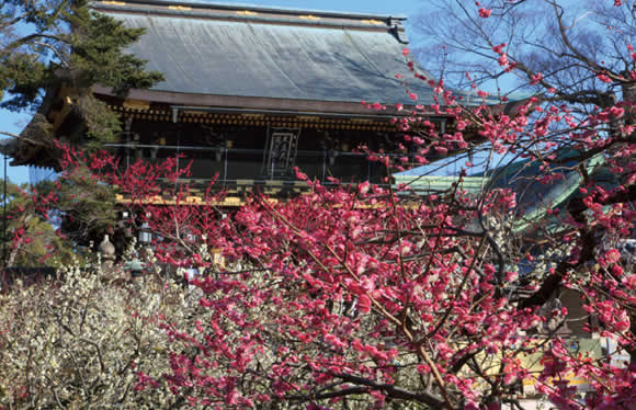 ＜おとなびメルマガ掲載コース＞京の冬の旅特別公開　京に残る戦国の英傑ゆかりの寺院と春を告げる梅の名所　北野天満宮　2日間